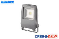 Epistar Чип COB 10W RGB LED прожектор Открытый IP65 для ландшафтного освещения